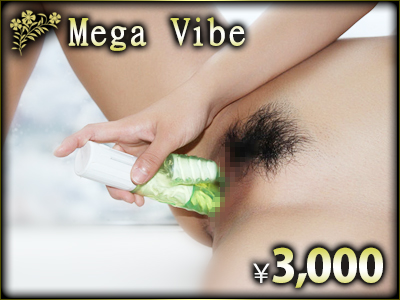 Mega Vibe ¥3,000